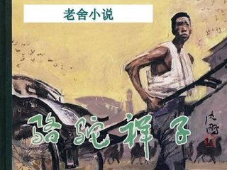 猫咪app官方社区入口